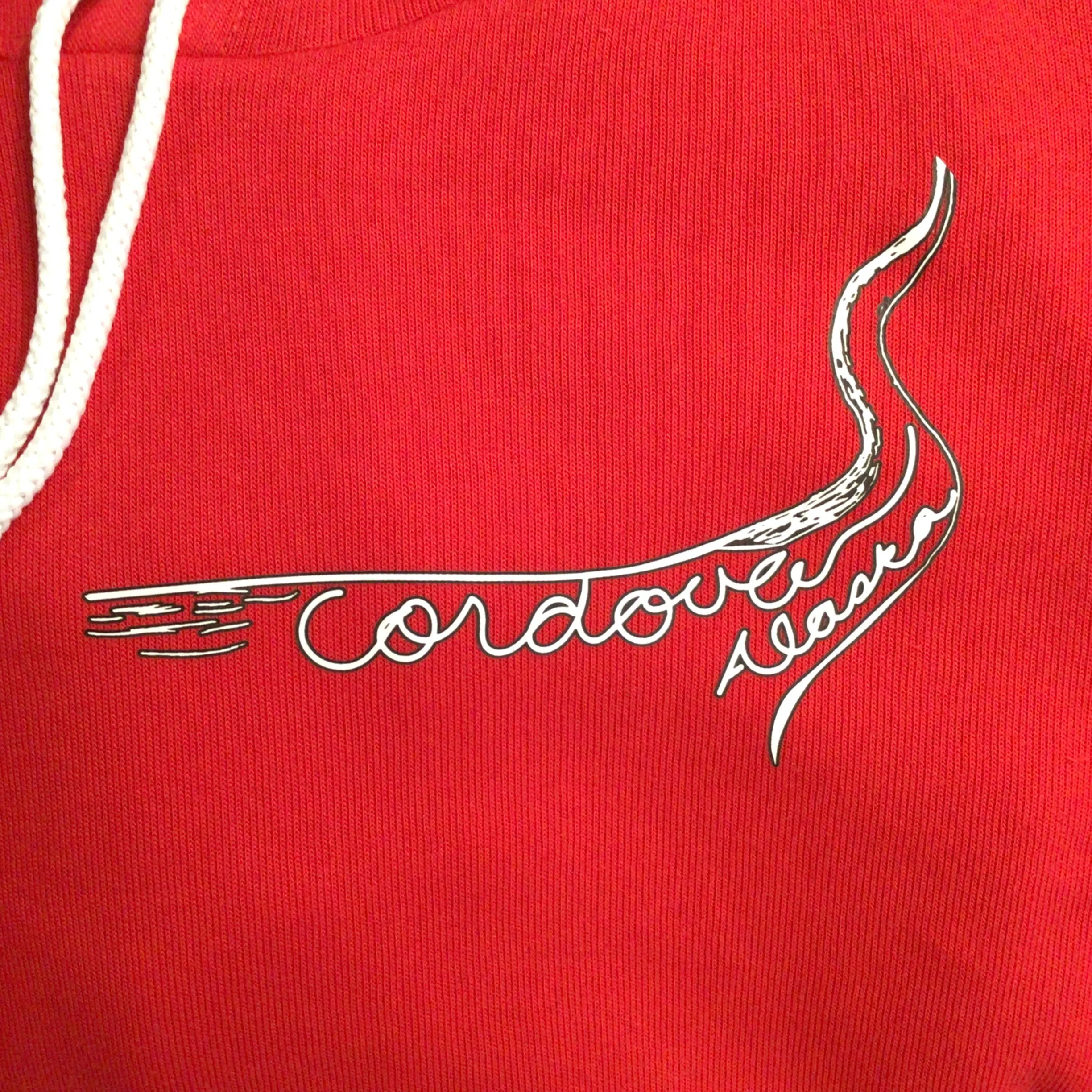 Cordova Alaska Ride Mt. Eyak Hoody Sweatshirt print on back