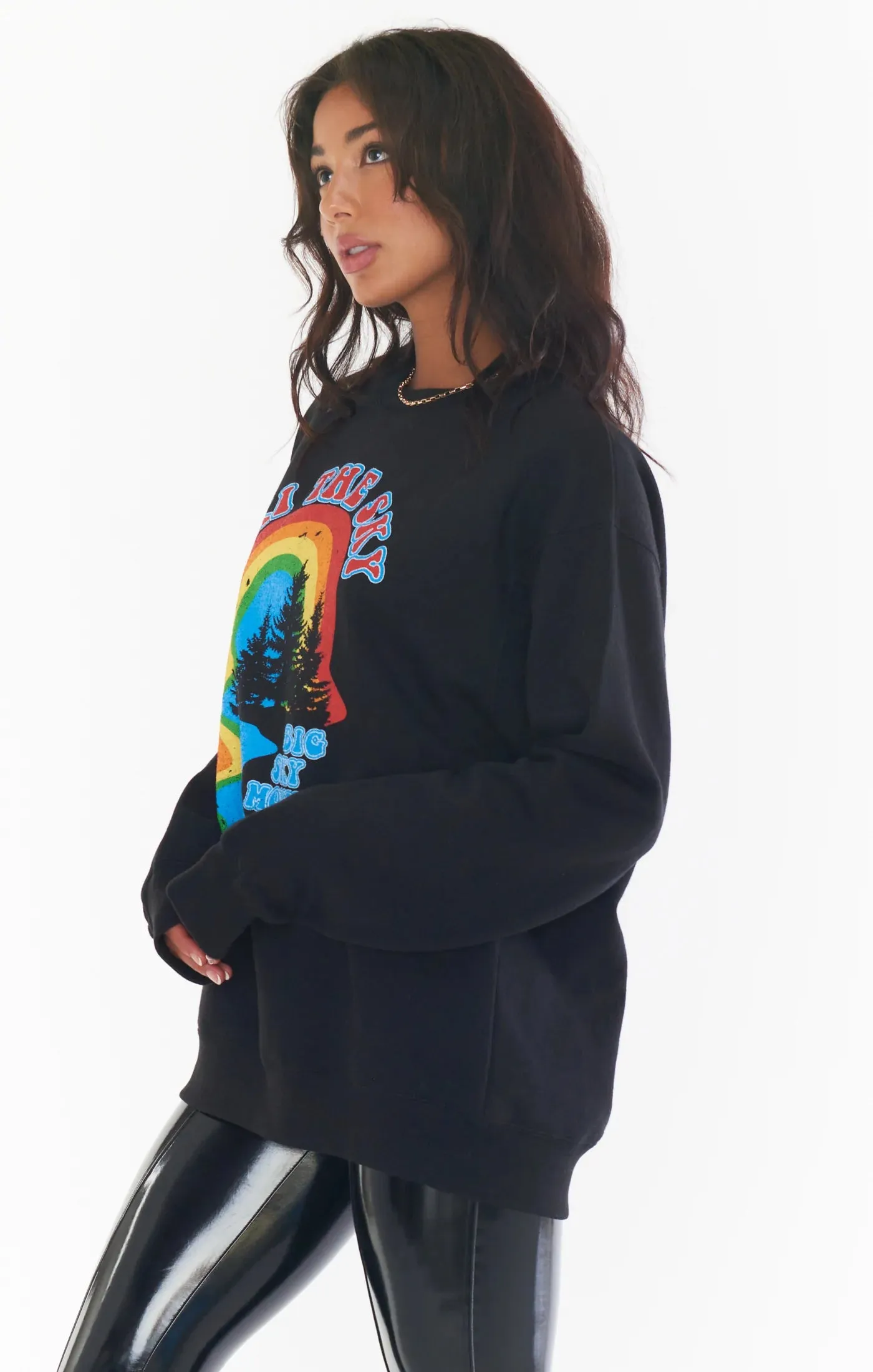 Ski the Sky Stanley Sweatshirt