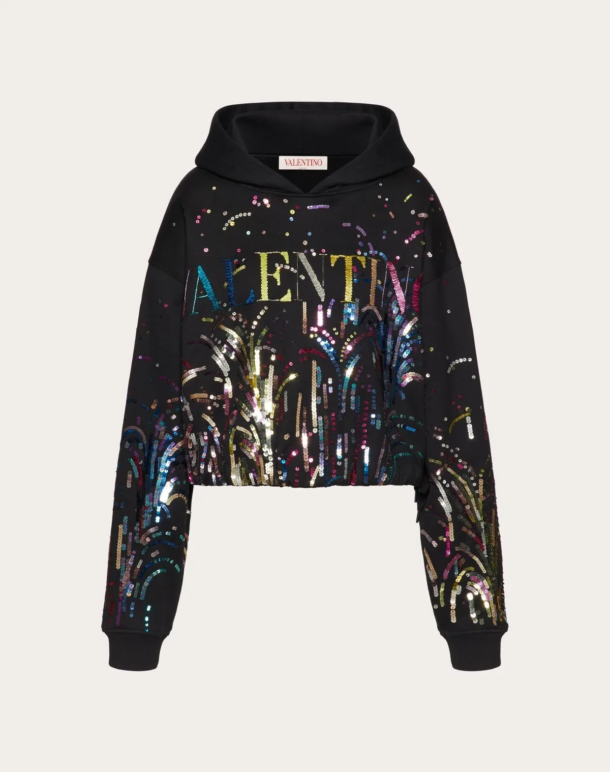 VALENTINO  |Embroidered Jersey Sweatshirt