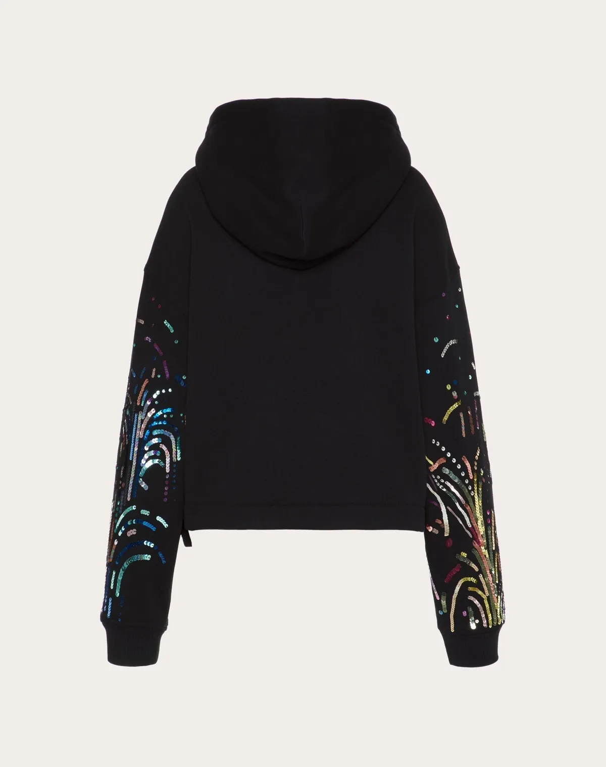 VALENTINO  |Embroidered Jersey Sweatshirt