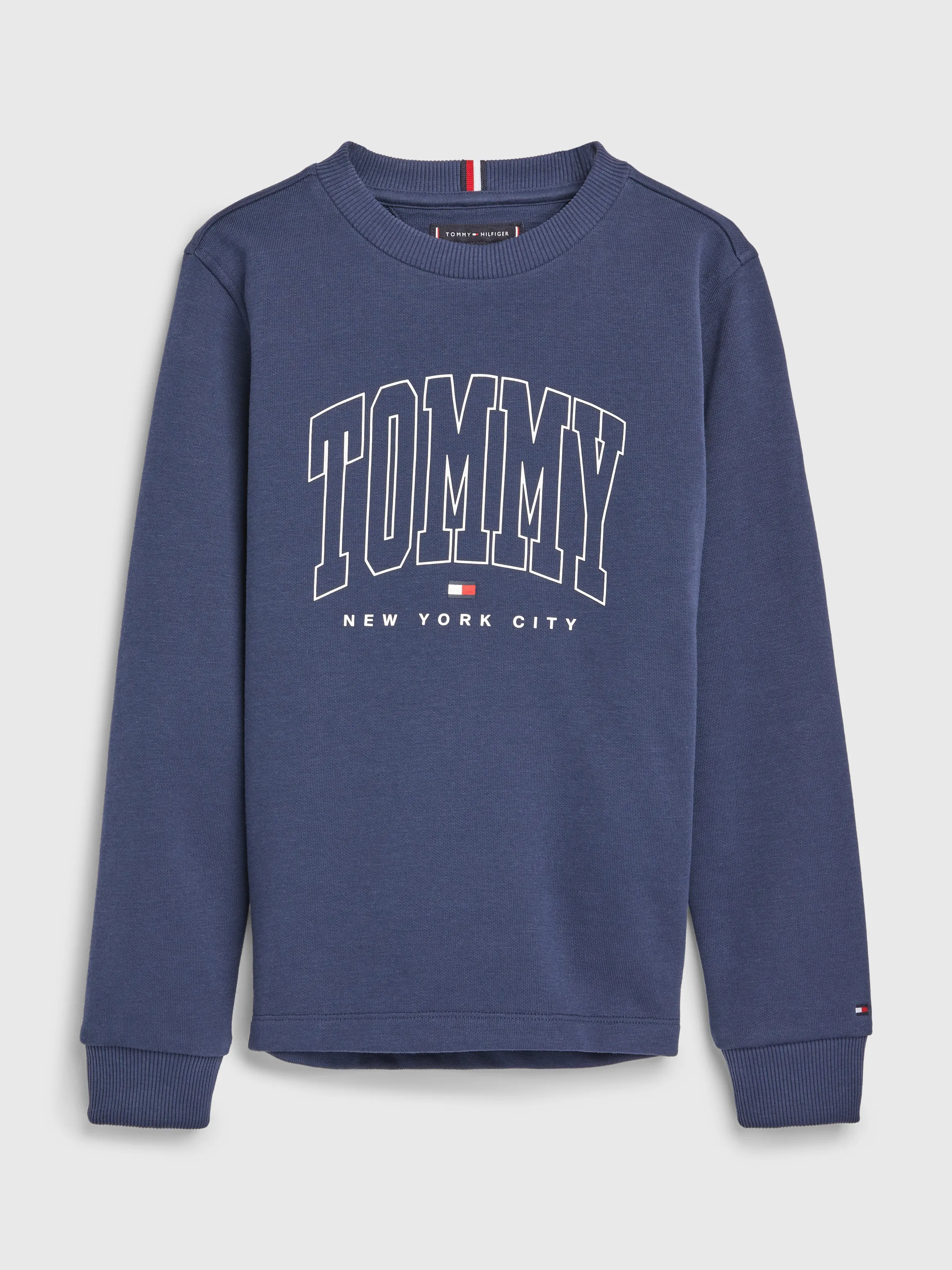 Varsity Logo | Sweatshirts & Hoodies | Tommy Hilfiger